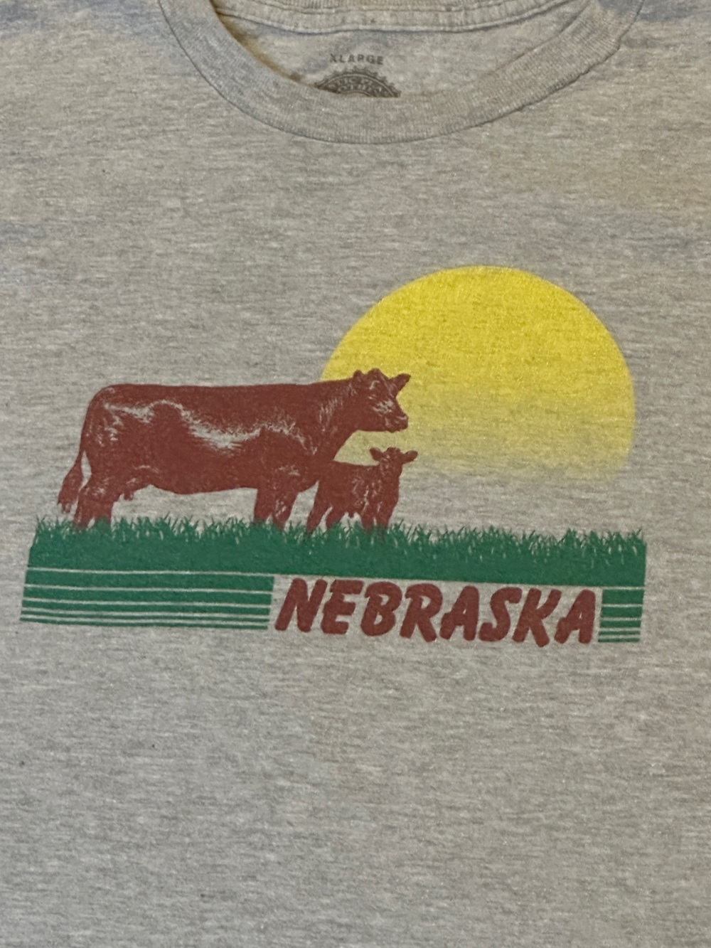 Nebraska Graphic Vintage Style T-Shirt Heather Gray Yellow Sun Cow XL READ DESCR